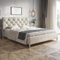 MOTIVENA Lusi Chesterfield Polsterbett 180x200 Mit Füßen, Ohne Bettkasten, Samt, Lattenrost, Kopfteil, Ohne Matratze, Beige (Creme)