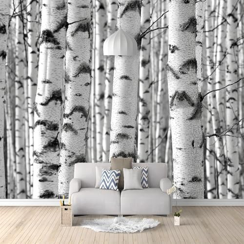 Vlies Tapeten Wandtapete Hell Gefärbt, Landschaft Natur Birke Wandposter, Extra Große Fototapete für Wohnzimmer & Schlafzimmer, 250x175cm Moderne Wandkunst