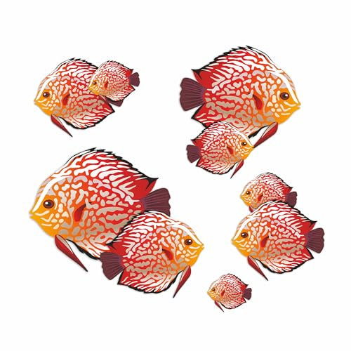 Orange Discuss Tropical Fish Stickers, Hardwearing Water and Weatherproof 0% Transparency Decals, Cover Marks, Sea Life Wall Decor, Cars & Home Projects. (Discuss)
