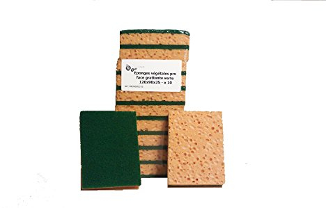 10 Eponges végétales Pro avec tampon récurant grattant vert 120 x 90 x 25