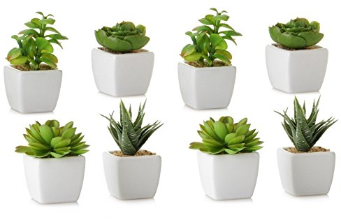 Dcasa - Pack 8 Cactus Artificial plástico 10 cm Maceta de Porcelana.