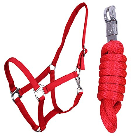 QHP Halfter-Set Beginner II Halfter + Führstrick mit Panikhaken verstellbar (Feuerrot, Shetty)