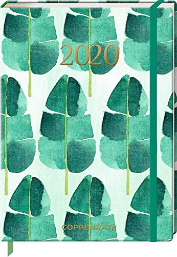Mein Jahr 2020 (Palmenblätter) (Jahreskalender)