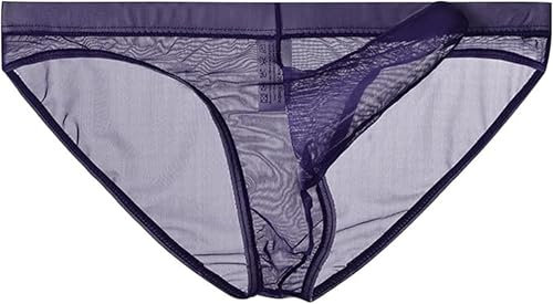 lclvld Hommes Slips sous-vêtements Maille Transparente Voir à Travers Les Slips Sexy érotique Hommes sous-vêtements éléphant Renflement sous-vêtements