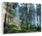 Bilder auf Glas Wald Dämmerung die Sonne Glasbild 70x50cm Wandbilder Dekoration Wohnzimmer Schlafzimmer Küche Deko Klein Wanddeko Bild im Glas Wand Kunstdruck Art Modern Wall Decor GAA70x50-4398