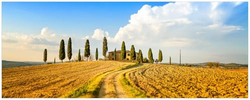 Wallario Memoboard aus Glas mit Motiv, Magnet-Tafel in 32 x 80 cm in Premium Qualität Italien - Toskana unter blauem Himmel einsame Farm