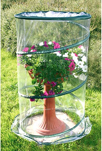 Verdemax 2634 70 x 100 cm, Serra Pop-up per anthurium