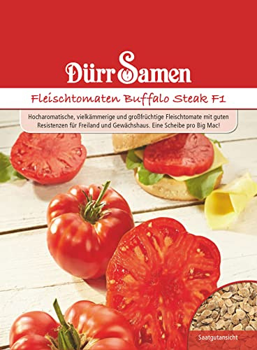 Dürr-Samen - Jumbo-Aroma-Fleisch-Tomaten Buffalo Steak F1 Saatgut