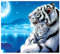 Klassisches Erwachsene Holzpuzzle 1000 Teile Mutter des Weißen Tigers Und Kleiner Tiger Unisex-Spiele