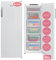 Amica GSN 324 160 W NoFrost Gefrierschrank 174L, 4 Schubladen, 3 Ablagefächer, 2 Türablagen, Inverter Motor, Tür-Offen-Alarm, 54cm breit, 145 cm hoch, Weiß