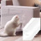 Protezione Graffi Gatto, 12 Pezzi Proteggi Divano Gatti Graffi, 43x30cm Adesivo Antigraffi per Gatti, PAutoadesive Trasparente rotezione graffi divano, per Sedie Porta Pareti e Mobili