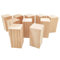 10PCS Unfinished Wooden Blocks for Carving,10x5x5cm Rectangular Wood Craft Cubes, Whittling Wood Blank Blocks for DIY Carving