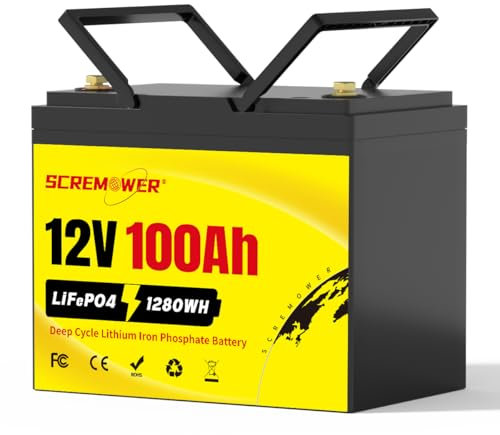 LiFePO4 Batteria Litio 12V 100Ah con 100A BMS Batterie a Ciclo Profondo Max 1280W Energia Supporto in Serie o in Parallelo per Impianti Solari, Camper, Barche