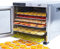 Vita5 Essiccatore Alimentare con 10 Vassoi in Acciaio Inox - Essicatore Frutta e Verdura 24 Ore Timer - Disidratatore Alimenti Temperatura Regolabile 35-75°C - 1000W Essiccatore da Casa in Inox