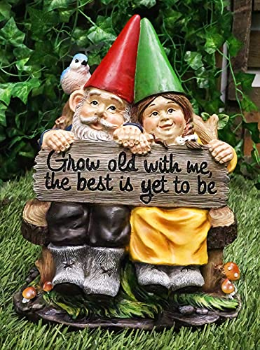 ATL Autotechnik Gartenfigur Grow Old with Me Herr und Frau Gnome, Gartendekoration, Statue