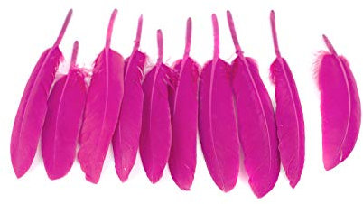 10 Indianerfedern ca. 10-15cm (fuchsia/magenta 183D) // Dekofedern Bastelfedern Masken Federn Schmuckfedern Vogelfedern