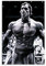 LIULANG Arnold Schwarzenegger Mr Olympia Poster dekorative Malerei Leinwand Wandkunst Wohnzimmer Poster Schlafzimmer Malerei 08x12inch(20x30cm)