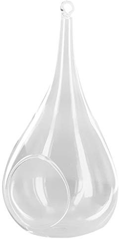 Wresetly Clear Glass Wall Hanging Vase Bottle for Plants Flowers Jewellery