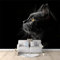 Papier Peint Non-tissées Panoramique 250 x 175 cm Format personnalisé, 3D Poster Geant Mural, Gros Plan Sur Un Chat Animal Noir pour Salon Chambre restaurant Décoration Murale TV fond d'écran mural