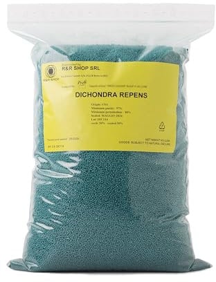 R&R SHOP - Semi Per Prato, Dichondra Repens, Origine Usa, Resistente E Decorativo (900gr - 90mq)