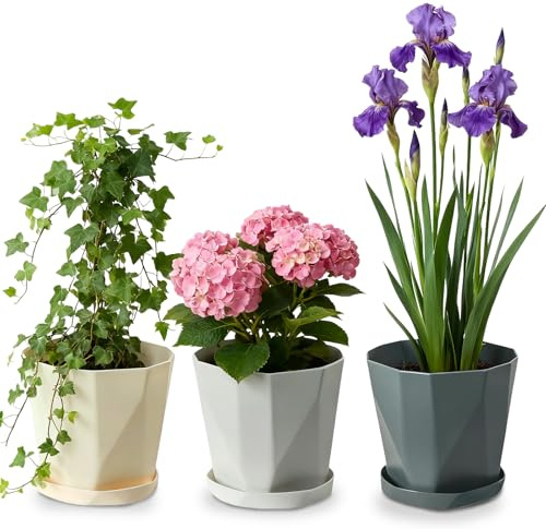 Zykphao 3PCS Plastic Flower Pots, 17CM Colorful Flower Pots Perfect for Indoor and Outdoor with Drainage Hole and Tray for All Plants for Flowers Herbs Succulents Cactus (3 Colors)