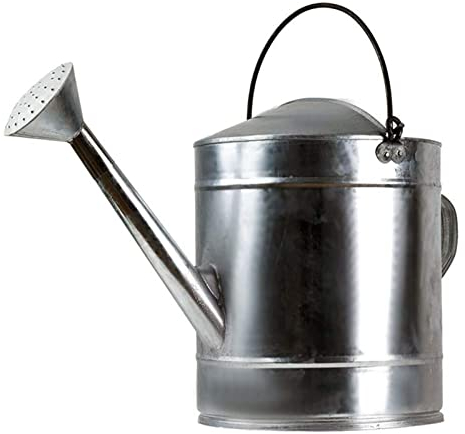 XINLEE Arrosoir Qualité Épaisseur Galvanisé Grande Capacité Agriculture À Grande Échelle Arroser Les Légumes Arrosoir Amovible 5L/7L/10L/12L//15L,15L