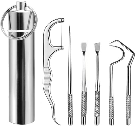 Ensemble de nettoyage des dents avec cure-dents et grattoir à tartre - 6 pièces, cure-dents métalliques réutilisables avec boîte de rangement, idéal pour les pique-niques, le camping et les voyages
