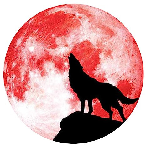 Halloween Schildaufkleber Rot Pvc 1stück Leuchtet im Dunkeln für Wanddeko