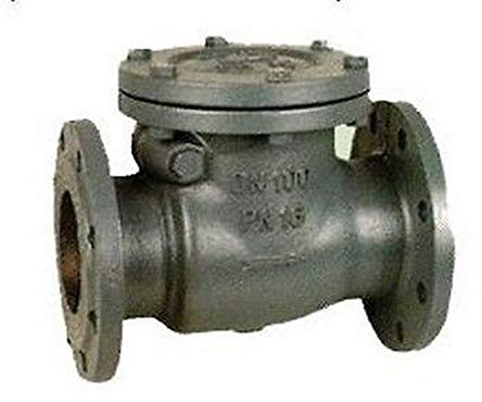 465 Gusseisen-Klappventil mit Flansch PN 16 DN 65 RASTELLI