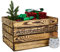 Adventskiste/Weihnachtskiste mit Schriftzug Obstkiste Weinkiste Dekokiste Geschenkekiste Weihnachtsdeko Adventskalender 50 x 40 x 29cm (geflammt mit Adventskalender schwarz)