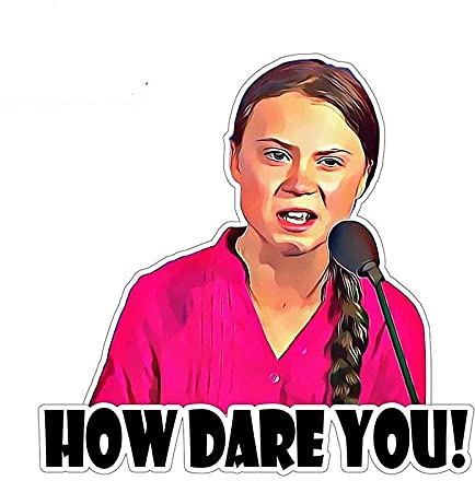 13 cm x 12,6 cm für Greta Thunberg Vinyl-Aufkleber, Fenster, LKW, Auto, Wand, Laptop, Wohnmobil