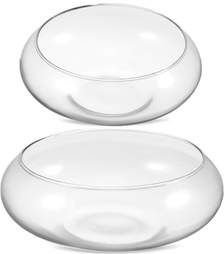 HOMOBABE 2 Pièces Bols à Poissons en Verre Transparent Rond, Vase Bocal pour Plantes Aquatiques, Outil D'observation comme Centre de Table Décoratif