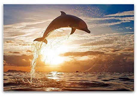 Startonight Impression Sur Verre Acrylique Dauphin Saut, Imprimée Tableau Oeuvre Originale Motif Moderne Décoration Prêt à Accrocher 60 x 90 cm