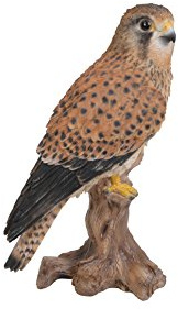 Vivid Arts XRL-KEST-D Kestrel Standing on Tree Trunk Ornament
