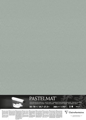 Clairefontaine 96157C Packung (mit 5 Zeichenbögen Pastelmat, 50 x 70 cm, 360 g, ideal für Trockentechniken und Pastell) hellgrün