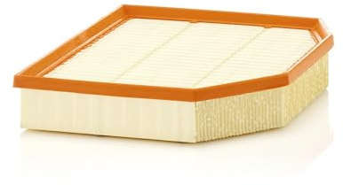 MANN-FILTER, C 29 132 Luftfilter | Für PKW, Saubere Luftzufuhr, Langlebiges Filtermedium, Passgenaues Design, Echte OE-Technologie