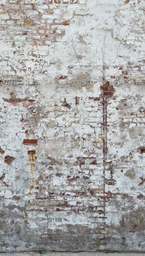 A.S. Création Livingwalls Vliestapete - Tapete Stein in Weiß, Grau und Braun - Wandtapete für verschiedene Räume - Wandbild XXL 2,80 m x 1,59 m