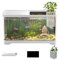Kits De Inicio para Acuarios, Pecera, Kit De Pecera para Principiantes, Pecera Pequeña, Tanque De Peces De Colores Decorativo para Acuario Pequeño Peces Dorados, Guppy, Camarones, Bla nco