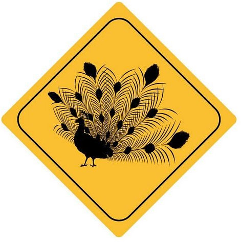 FahnenMax Autoaufkleber Sticker Achtung Pfau Aufkleber