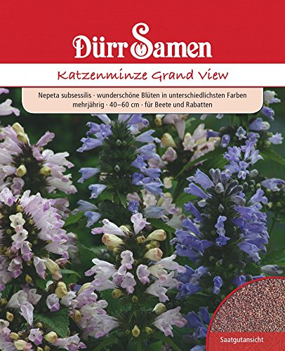 Dürr Samen 4295 Katzenminze Grand View (Minzesamen)