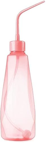 480 ml 360 degrés hors de l'eau, bouilloire de style japonais, arrosoir pour plantes succulentes (couleur : rose)