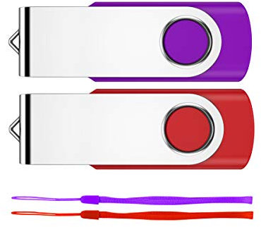 64GB Chiavetta USB 2 Pezzi, Fesaymi Pen Drive 64GB Penna USB 2.0 Unità Chiavette 64 Giga Pendrive offerta Pennetta USB Flash Drive Memoria Per PC/Tablet/TV/Auto(Multicolor)