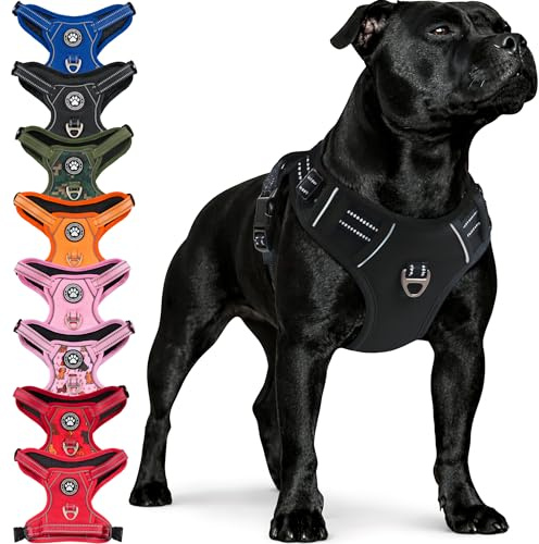 Reichstadt Pets Hundegeschirr Große Hunde 25RSP083 Black XL | Verstellbares No-Pull Geschirr mit Griff & Reflektoren | Atmungsaktiv, Gepolstert & Strapazierfähig | Sicherheitsgeschirr