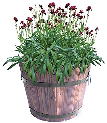 Gardenised Extra großer Holz-Whiskey-Pflanzgefäß, 30,5 cm Durchmesser, 25,4 cm hoch