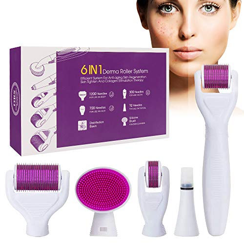 Derma Roller Kit 6 en 1, 1,5/1,0/0,5 Micro Aiguille Brosse en Silicone et Plateau de désinfection pour la régénération de la Peau, Rides, Taches Sombres, Utiliser sur Le Visage, Les Yeux, Le Corps.
