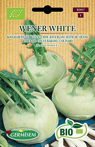 Germisem Biologico Wener White Semi di Cavolo Rapa 1 g