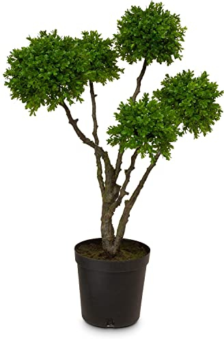 fleur ami Buchsbaum Kugeln auf Stamm Kunstpflanze 91 cm, getopft