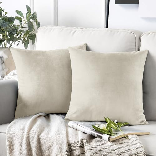 AMEHA Confezione da 2 federe per cuscini 45x45cm in velluto riccio quadrato Copricuscini Decorativi con la Cerniera Invisibile, per divano, soggiorno (Beige)