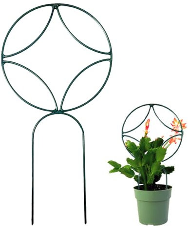Treillis pour grimpantes d'intérieur – Support en métal pour grimpantes en pot, support élégant pour la croissance des fleurs, y compris Pothos Rose Monstera