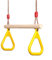 PELLOR Trapèze Balançoire en Bois avec Gymnastique Anneaux Enfants Portique Toboggan Jeux Jardin Extérieur Intérieur